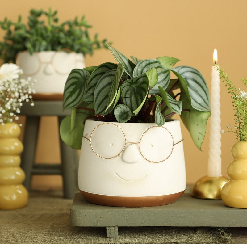 Pot with glasses Gold Ø16 h: 11,5 cm (3 Pcs) [IFS-33099]