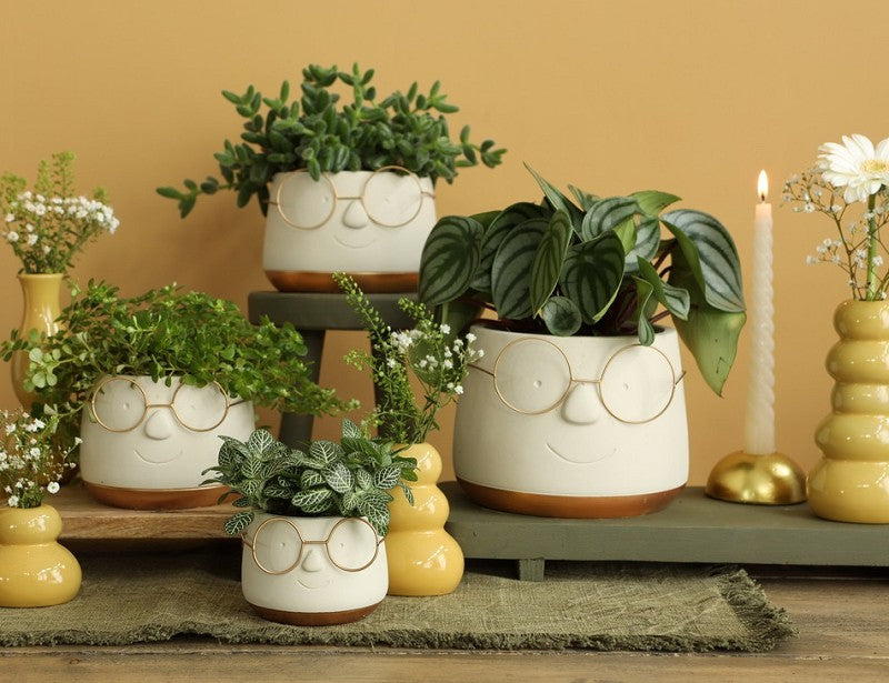 Pot with glasses Gold Ø16 h: 11,5 cm (3 Pcs) [IFS-33099]