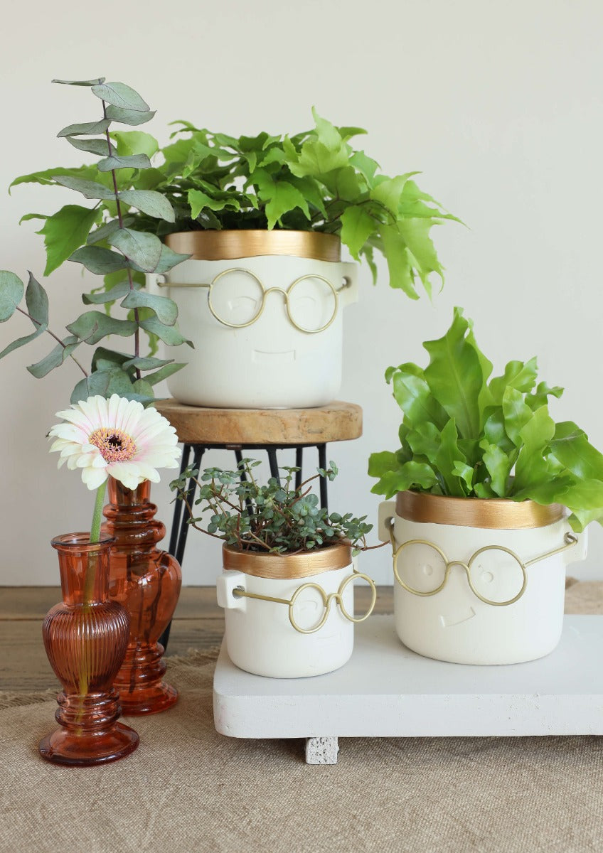 Plant pot with glasses Gold 2 ass. Ø7,5 h:7 cm (6 Pcs) [IFS-33182]