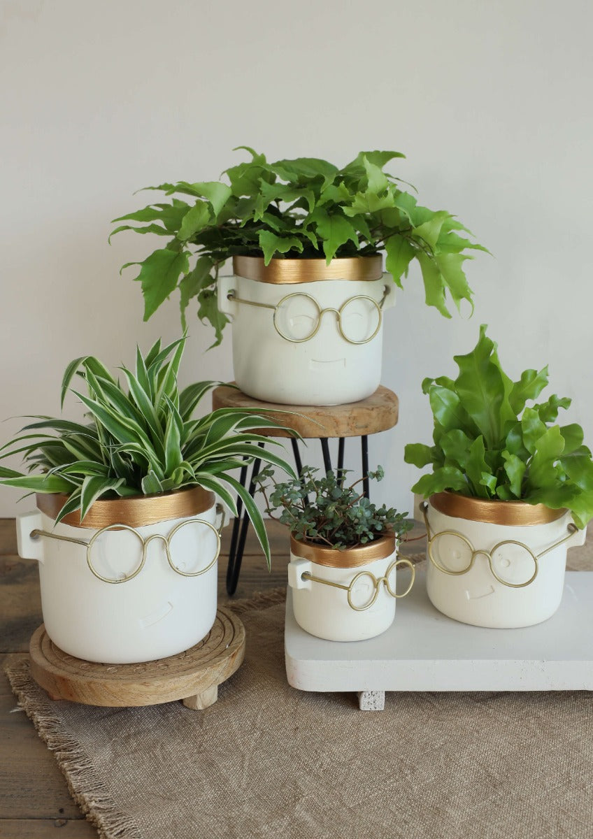 Plant pot with glasses Gold 2 ass. Ø12 h:11,5 cm (6 Pcs) [IFS-33184]