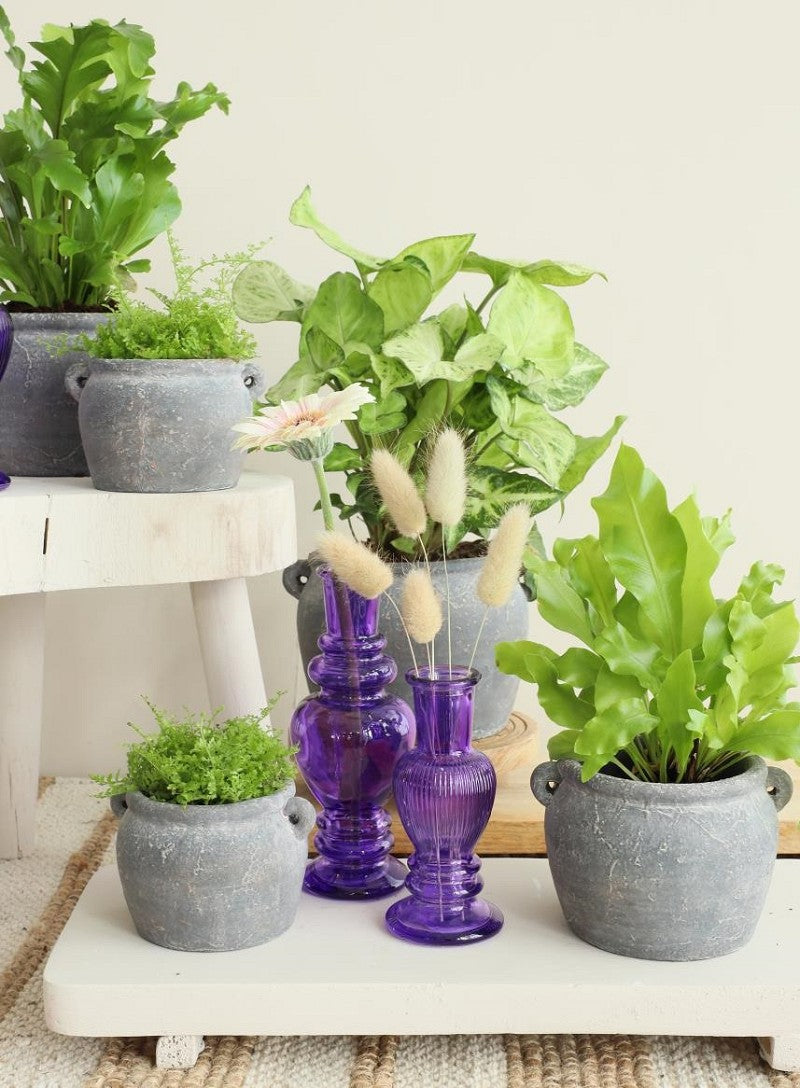 Amphora pot 14x12,2x9 cm (6 Pcs) [IFS-33243]