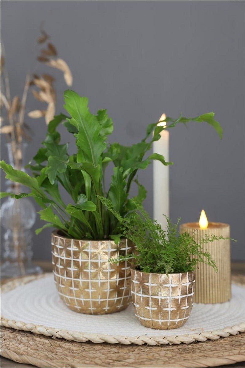 Hanoi pot Ø10 x h:8,4 cm Gold (6 Pcs) [IFS-33852]