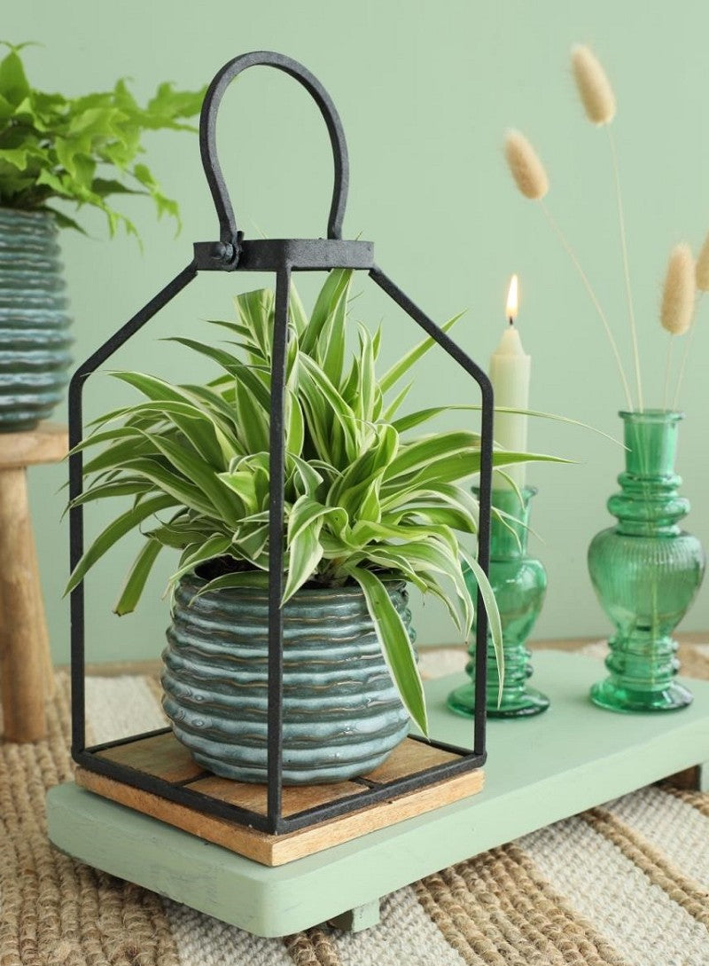 Pot Dark Green Rise Ø6,5 x h: 8 cm (12 Pcs) [IFS-33952]