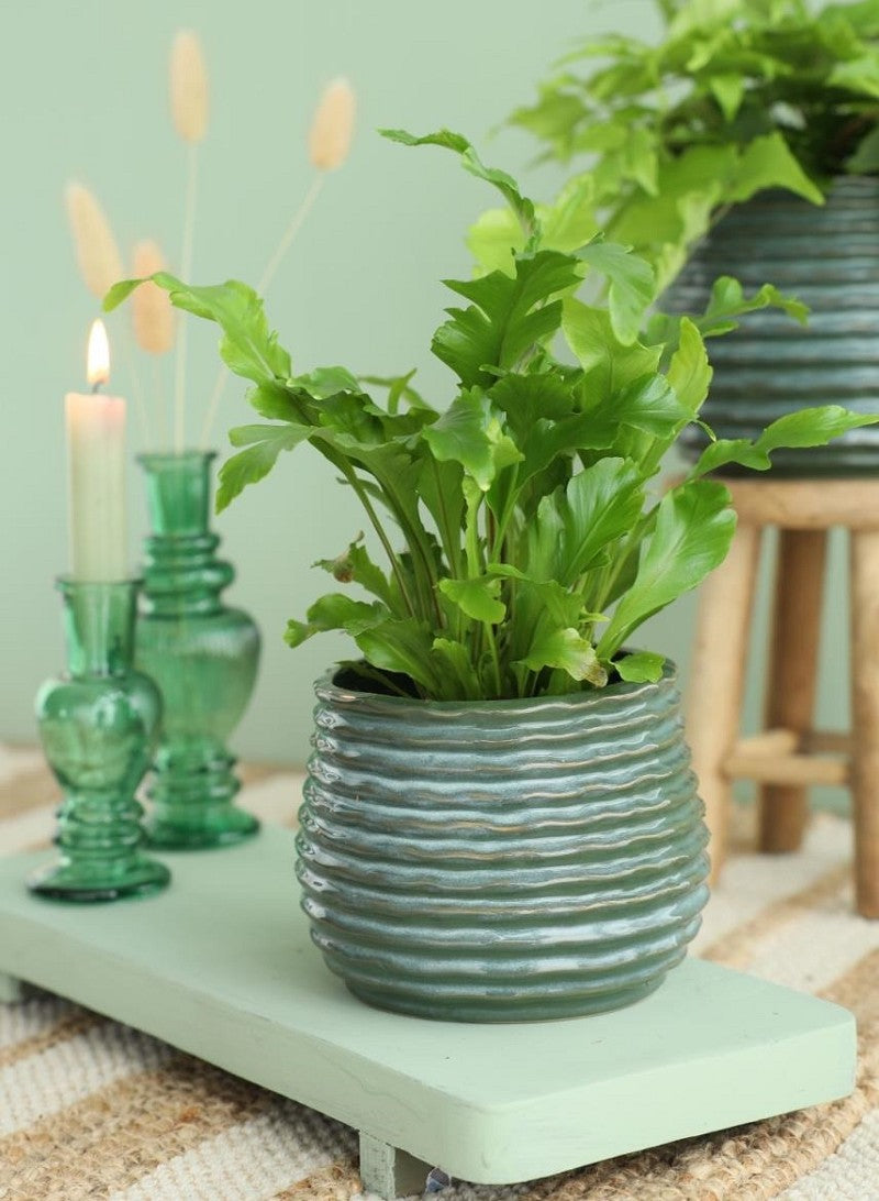 Pot Dark Green Rise Ø8,5 x h: 11,5 cm (9 Pcs) [IFS-33953]