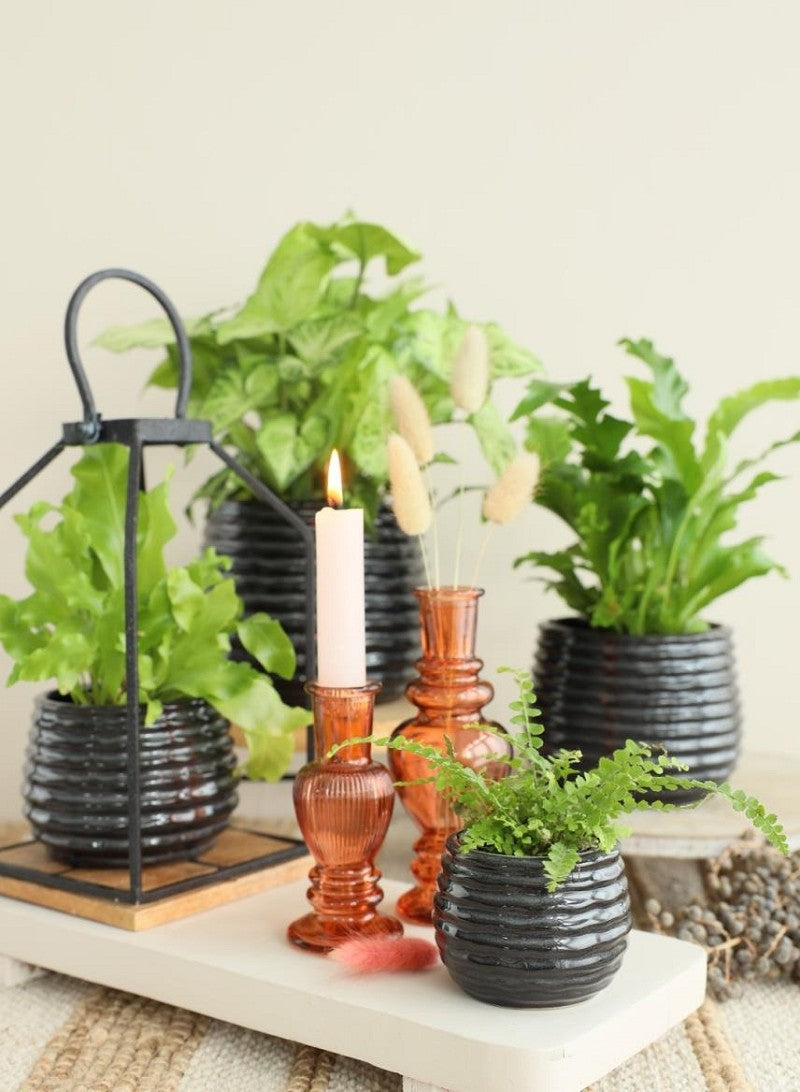 Pot Black Anthracite Rise Ø6,5 x h: 8 cm (12 Pcs) [IFS-33972]