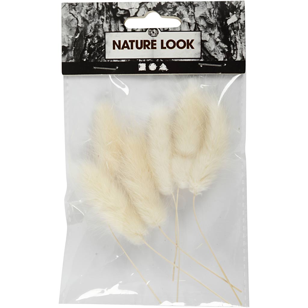 Bunny tail grass, L: 3-7 cm, 6 pc/ 1 pack [HOB-50203]