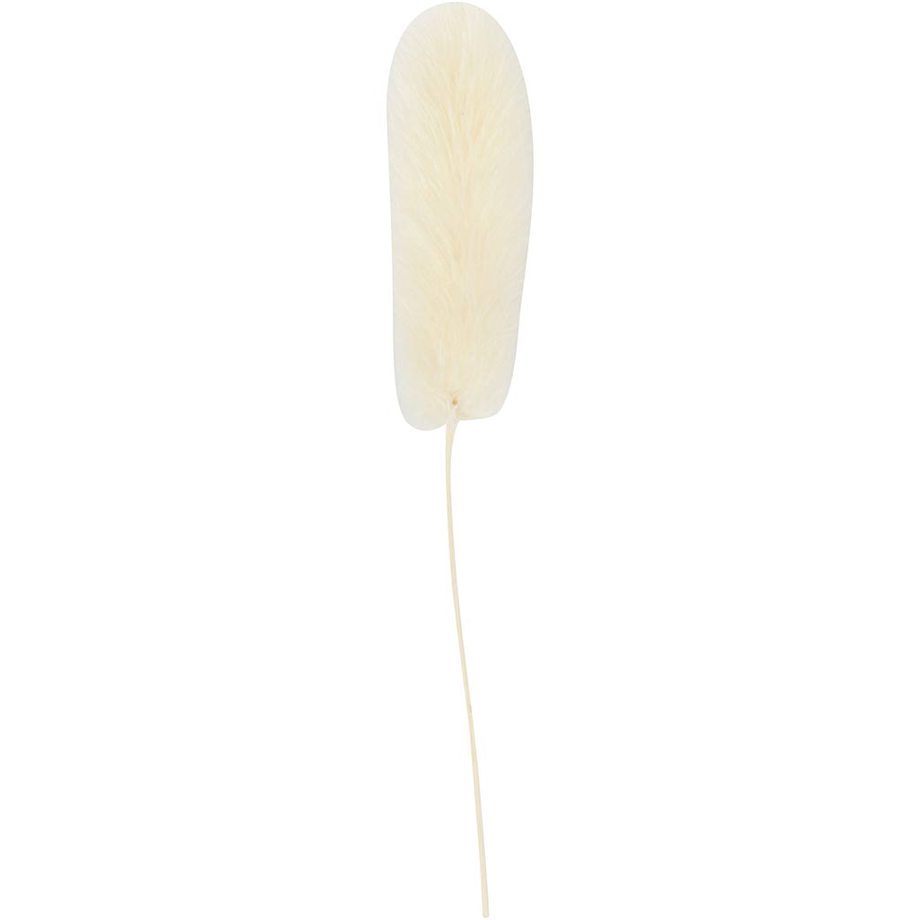 Bunny tail grass, L: 3-7 cm, 6 pc/ 1 pack [HOB-50203]