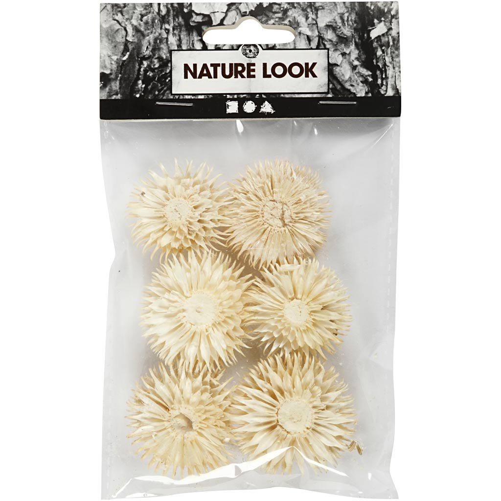 Dried Flower Heads, dia. 3-5 cm, 6 pc/ 1 pack [HOB-50204]
