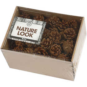 Pine Cones, dia. 40 mm, ca. 60 pc, 500 g/ 1 pack [HOB-50226]