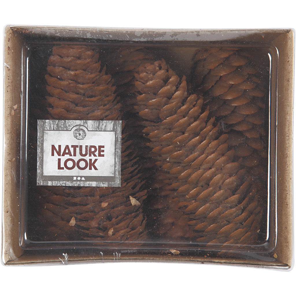 Abies Cone, dia. 40 mm, ca. 5 pc, 100 g/ 1 pack [HOB-502360]