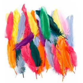 Feathers, L: 12-15 cm, assorted colours, 350 pc/ 1 pack [HOB-51673]