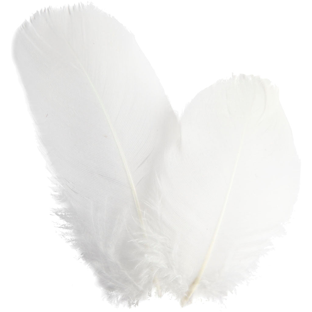 Goose feathers, round, L: 5-8 cm, ca. 70 pc, white, 3 g