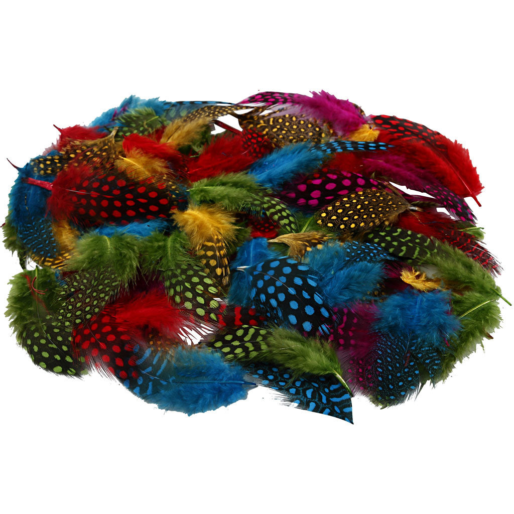 Guinea fowl feathers, ca. 1500 pc, assorted colours, 50 g/ 1 pack [HOB-51823]