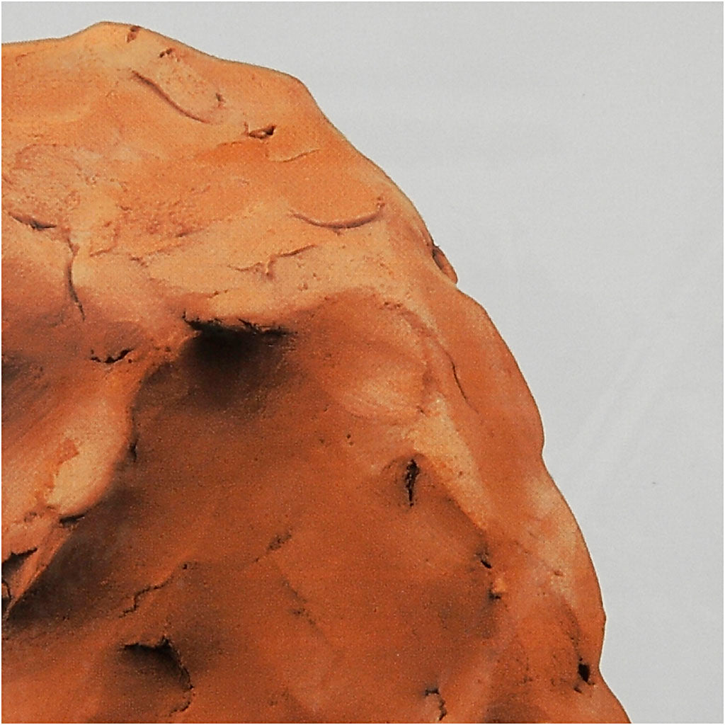 Self-Hardening Clay, terracotta, 12x1000 g/ 1 pack [HOB-78904]