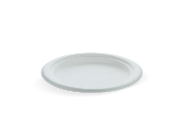 Plate Sugarcane Ø17.5cm (1.000 pcs) [TK-9988102]