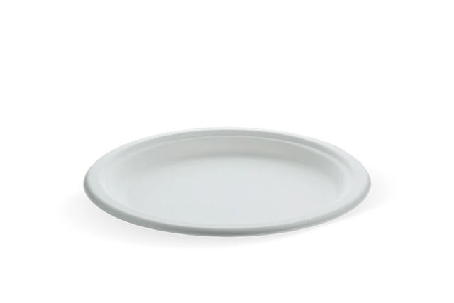 Plate Sugarcane Ø22.5cm (500 pcs) [TK-9988103]