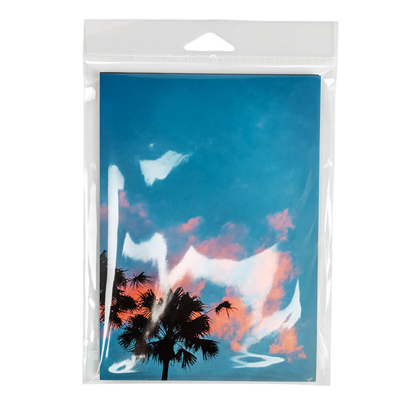 Headerbags 14.8x19.1cm with Protective Closure (100 pieces) [HB7B2PC]