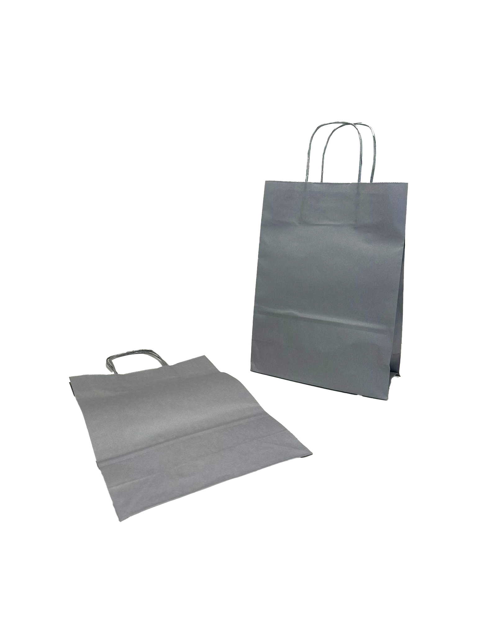 Paper Carrier Bags Silver 22+10x31cm Kraft 90 grams (50 pieces) [PAM2231SI]