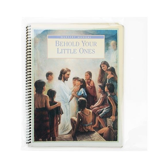 Plastic Bags 30.8x28.9cm Transparent (100 pieces) [B1211NF]