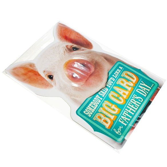 Plastic Bags 34.1x48.9cm Transparent Peel and Seal (100 pieces) [B1319]