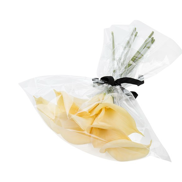 Plastic Bags 51.9x62cm Transparent (100 pieces) [B20NF]