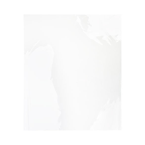 Plastic Bags 57x72cm Transparent (100 pieces) [B22NF]