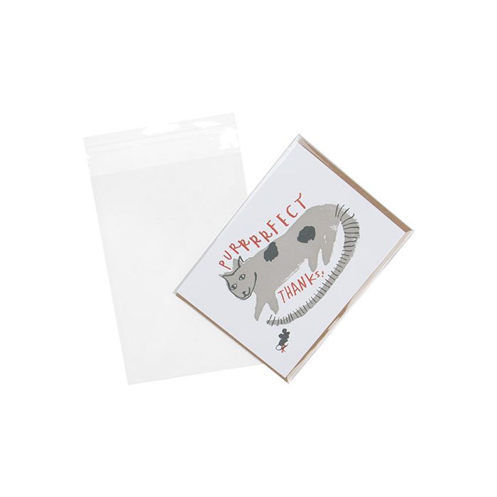 Plastic Bags 12.5x18cm Transparent Peel and Seal