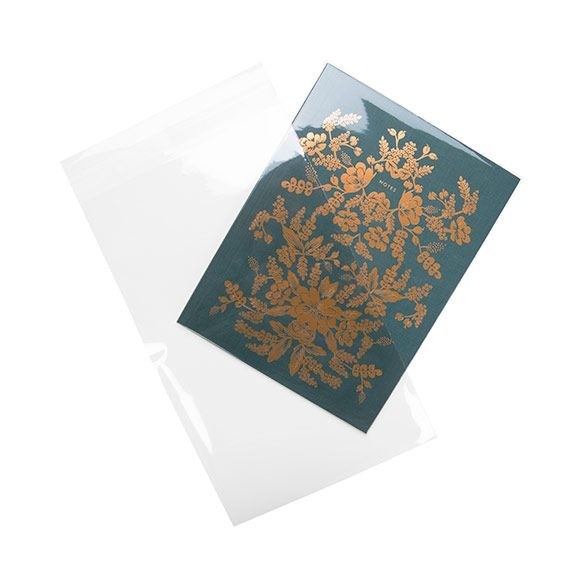 Plastic Bags 15.7x25.4cm Transparent Peel and Seal (100 pieces) [B6X10]