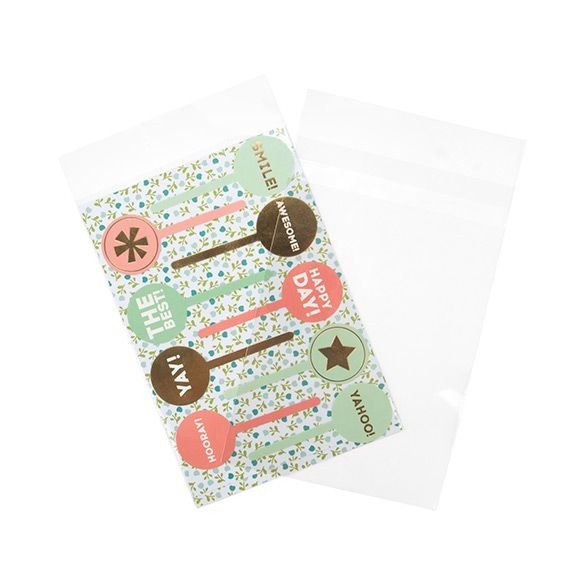 Plastic Bags 15.3x22.9cm Transparent Peel and Seal (100 pieces) [B6X9SPC]