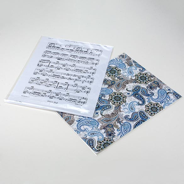 Plastic Bags 22x28cm Transparent Peel and Seal (100 pieces) [B811S]