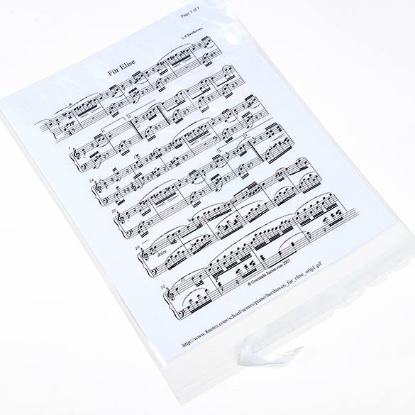 Plastic Bags 22x28cm Transparent Peel and Seal (100 pieces) [B811S]