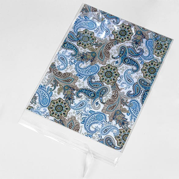 Plastic Bags 22x28cm Transparent Peel and Seal (100 pieces) [B811S]