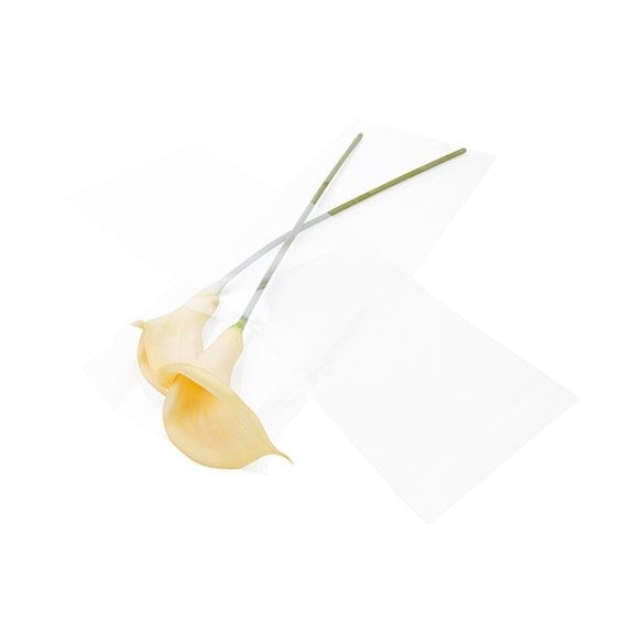 Plastic Bags 21.9x59.7cm Transparent Peel and Seal (100 pieces) [B823]