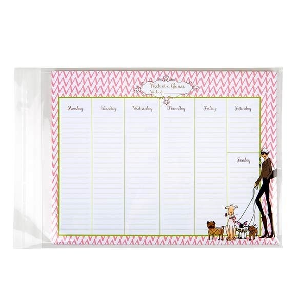 Plastic Bags 22.9x30.5cm Transparent Peel and Seal (100 pieces) [B912]