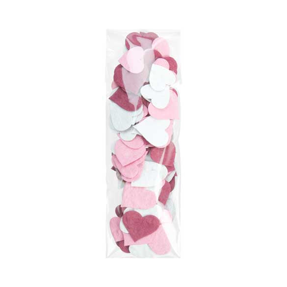 Plastic Bags 5.5x18cm Transparent Peel and Seal (100 pieces) [BM4]