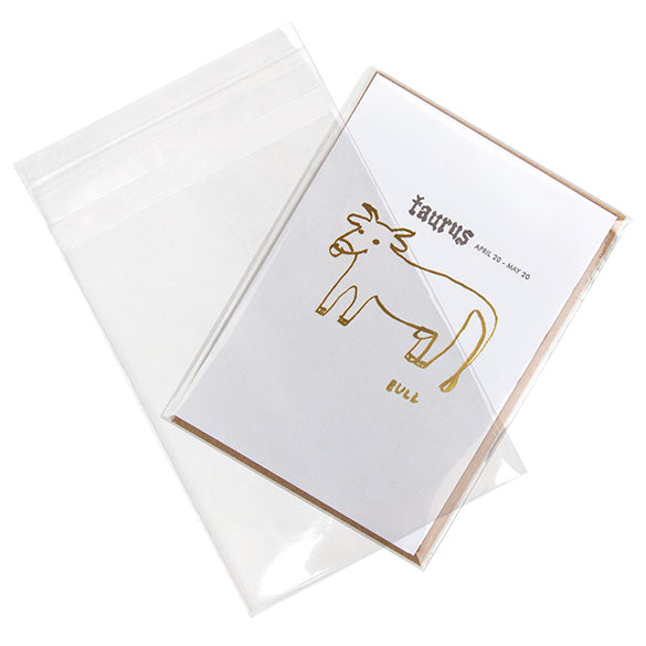 ECO-friendly Bags 9.7x13cm Premium Quality (100 pieces) [GC3X5]