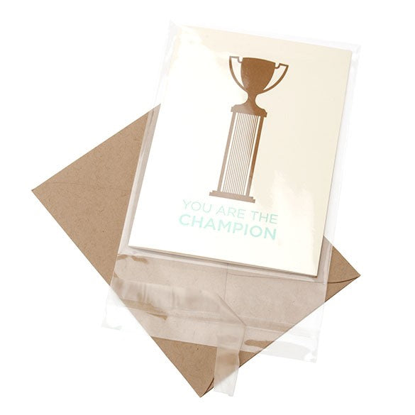Plastic Bags 9.5x13+4cm Crystal Clear and Reclosable (100 pieces) [B3X5]