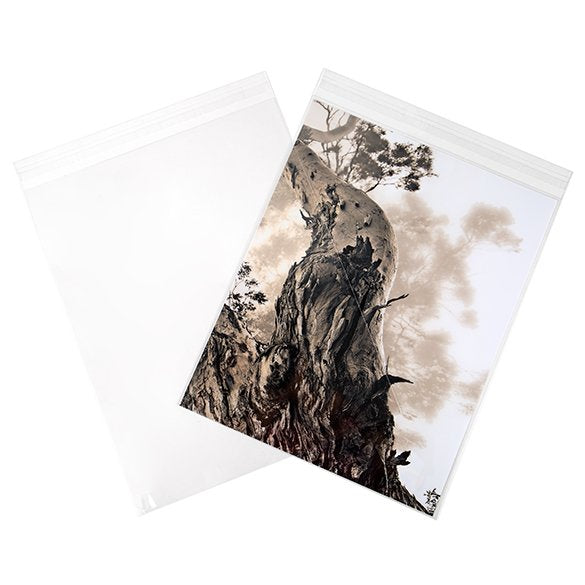 Plastic Bags 28.6x35.9cm Transparent Peel and Seal(250 pieces) [VL11S]