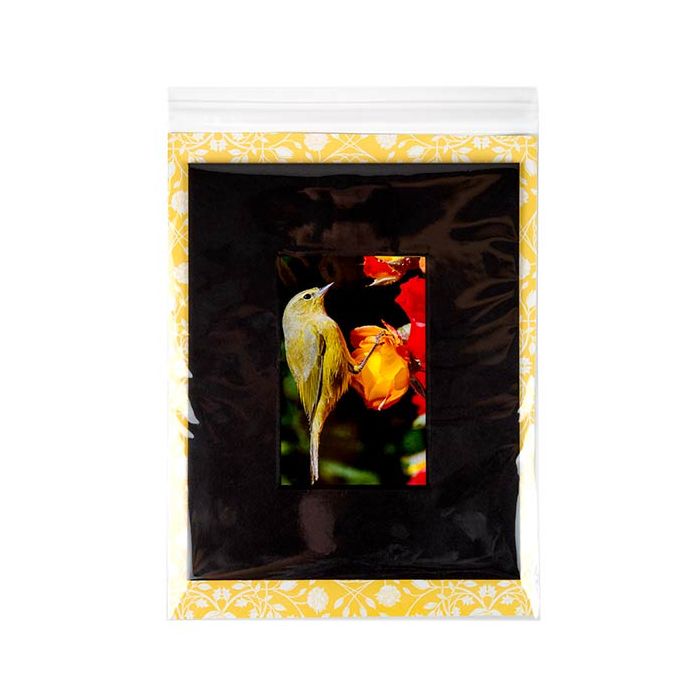 Plastic Bags 22.7x28.6cm Transparent Peel and Seal(250 pieces) [VL811]