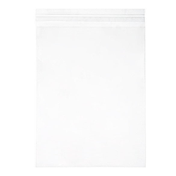 Best Value Bags 222x281mm, Clear Plastic (250 pcs) [VL811S]