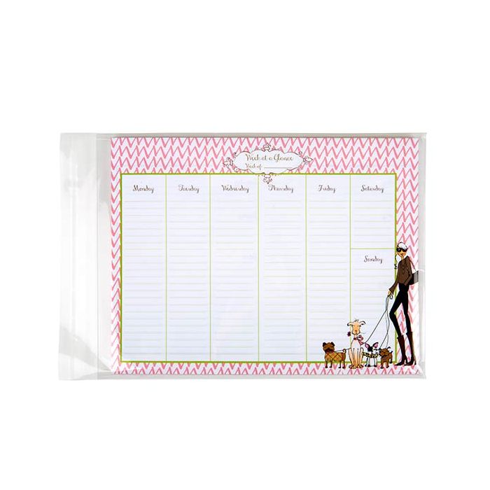 Plastic Bags 22.9x30.5cm Transparent Peel and Seal(250 pieces) [VL912]