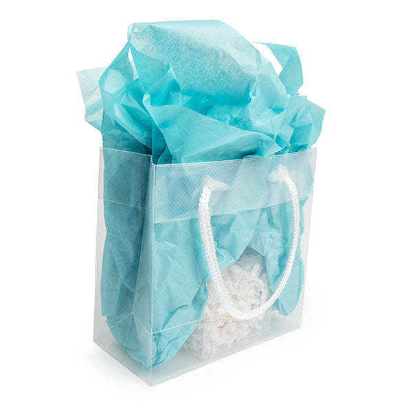 Gift Bags 16x7.6x16cm with carrying Cords (10 pieces) [G66ZZ1]