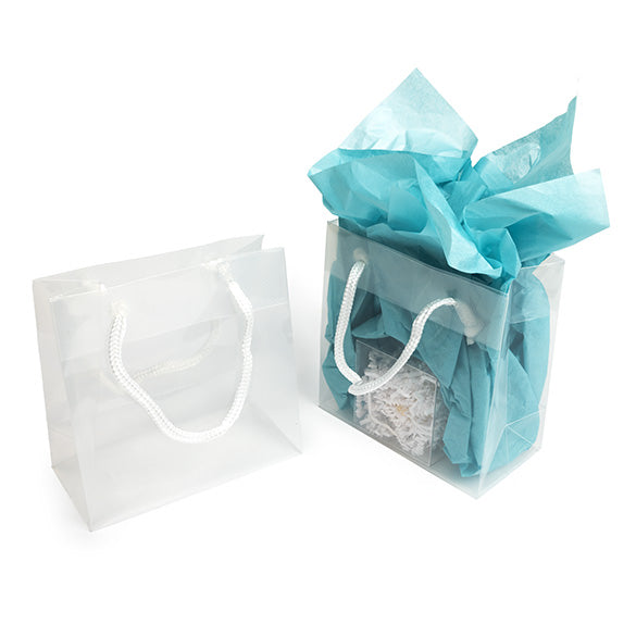 Gift Bags 16x7.6x16cm with carrying Cords (10 pieces) [G66ZZ1]