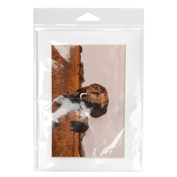 Headerbags 13.8x18.4cm with Protective Closure (100 pieces) [HB75PC]