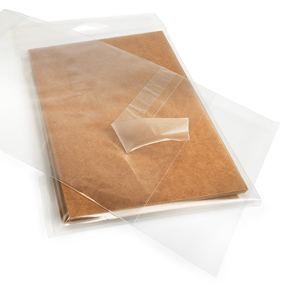 Headerbags 10.3x13.7cm with Protective Closure (100 pieces) [HB4B1PC]