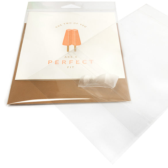 Headerbags 12.7x15.2cm with Protective Closure (100 pieces) [HB5B2PC]