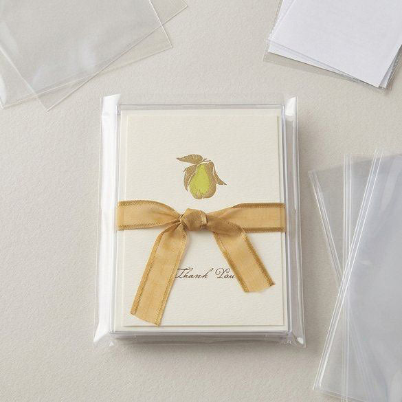 Plastic Bags 9.5x13.5cm Transparent (100 pieces) [B3X5NF]