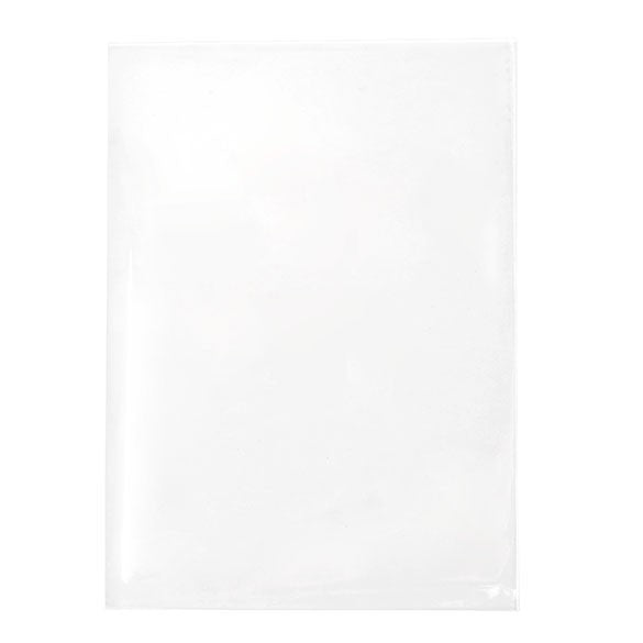 Plastic Bags 9.5x13.5cm Transparent (100 pieces) [B3X5NF]