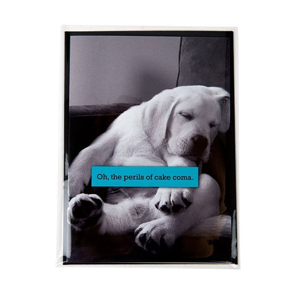Plastic Bags 12.6x17cm Transparent (250 pieces) [VL65NF]