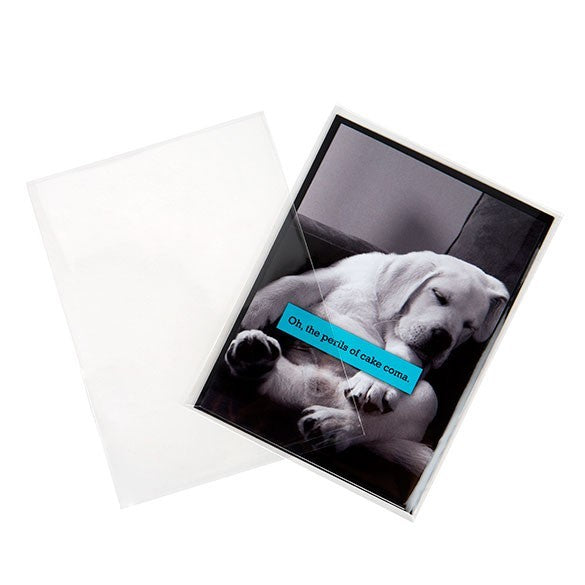 Plastic Bags 12.6x17cm Transparent (250 pieces) [VL65NF]